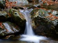 Rißbach zwischen nassen Felsen